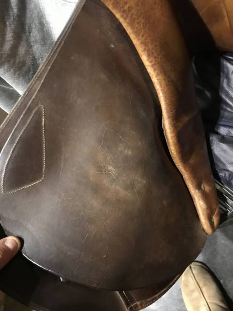 Selle herve godignon 