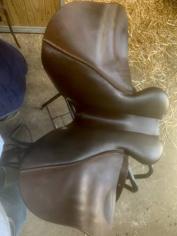 Selle d'obstacle semi-creuse GBS 17.5 de 2018