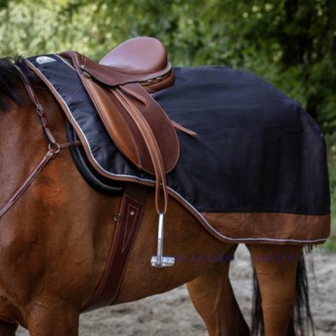 Couvre-Reins : quelle matière et coupe pour votre cheval ou poney