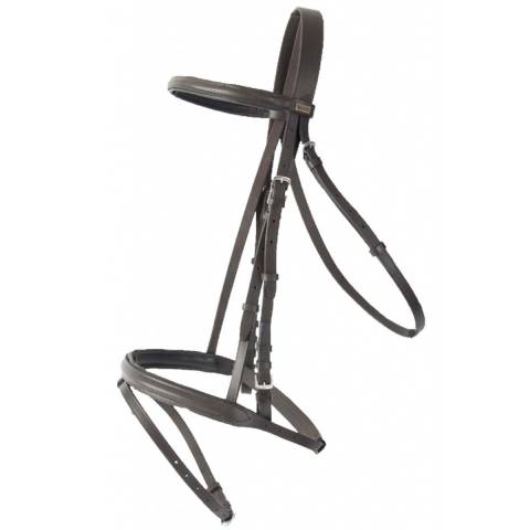 Bridon cuir TdeT Sisley