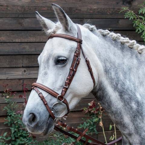 Bridon cuir TdeT Sisley
