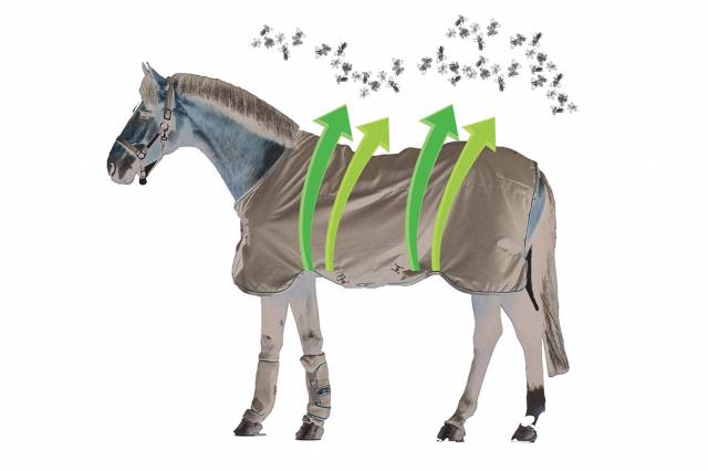 Chemise Rambo Sweetitch Hoody Horseware