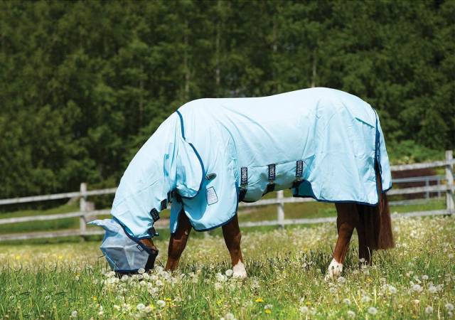 Chemise Rambo Sweetitch Hoody Horseware