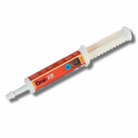 ORAL XB - Booster votre cheval de compétition