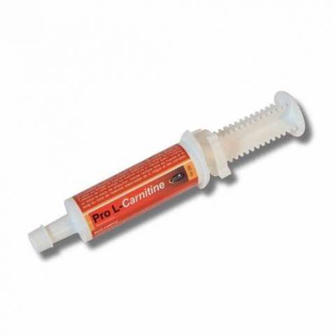 PRO L-CARNITINE - Endurance du cheval