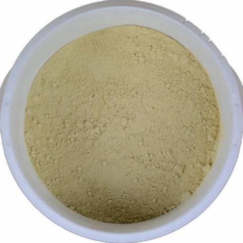 Fenugrec Cheval - Prise de masse cheval