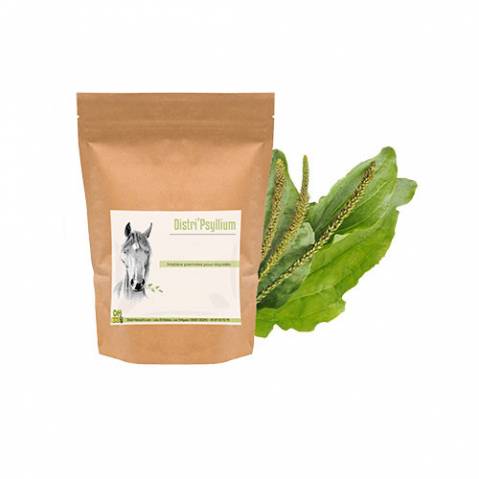 Psyllium cheval - Colique de sable