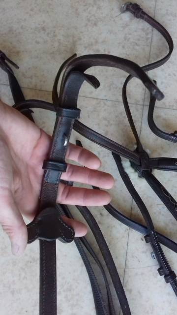 filet muserolle croisée + rênes assorties - neuf 