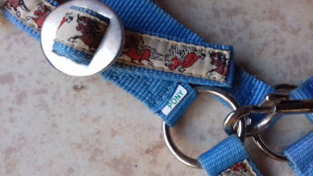 licol poney avec motifs adorables