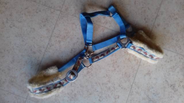 licol poney avec motifs adorables