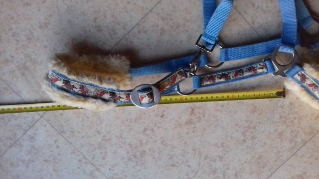 licol poney avec motifs adorables