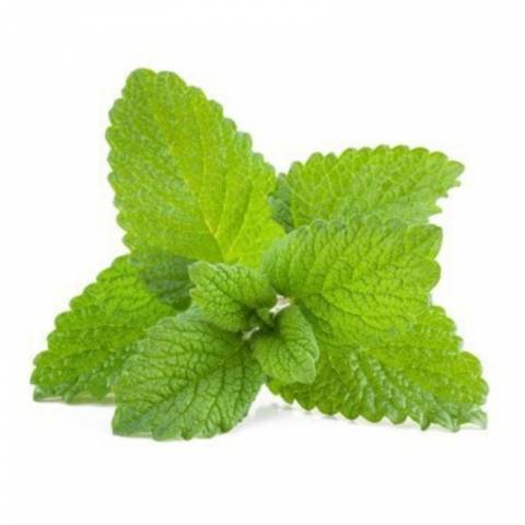 Mélisse 1kg - Horse Remedy
