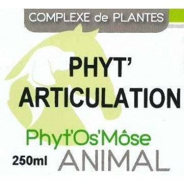 Phyt'articulation cheval - probl&egrave;mes articulaires