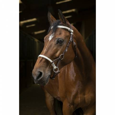 Side Pull NORTON Pro Tresse