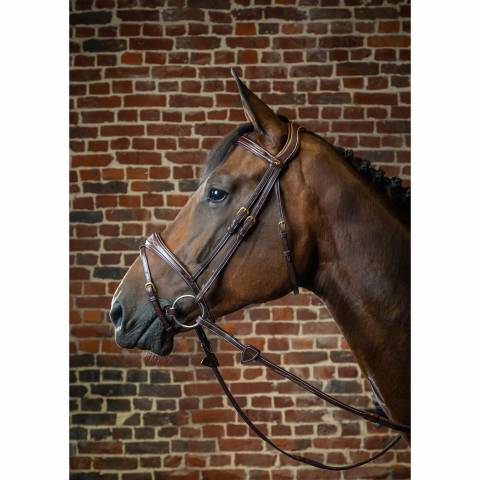 Bridon Dy'on collection muserolle et frontal anatomique