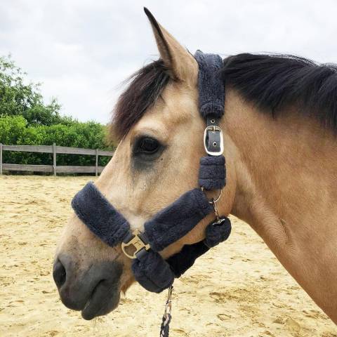 Licol nylon Douceur complet fourrure synthétique - JMR