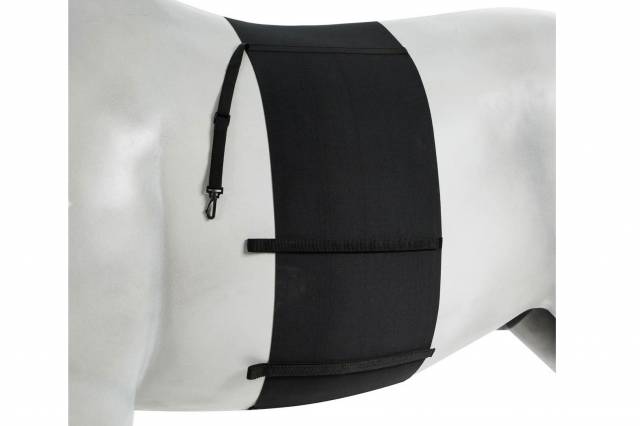 Bande de respect - Horze