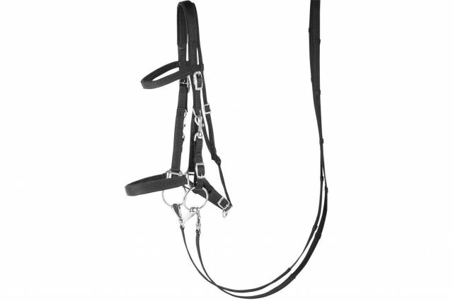Bridon licol en nylon