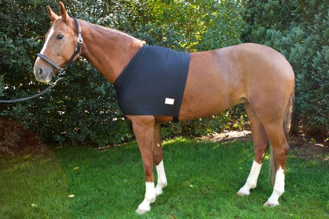 Protection d'épaules contre l'usure du poil du cheval