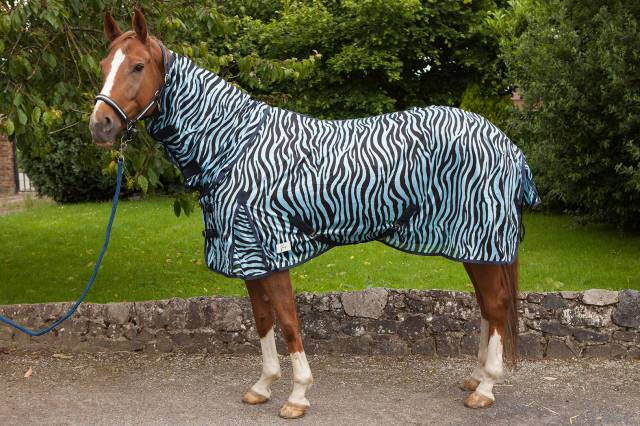 Chemise anti-mouches intégrale zébré JMR