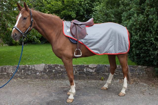 Couvre reins anti mouches JMR taille shetland