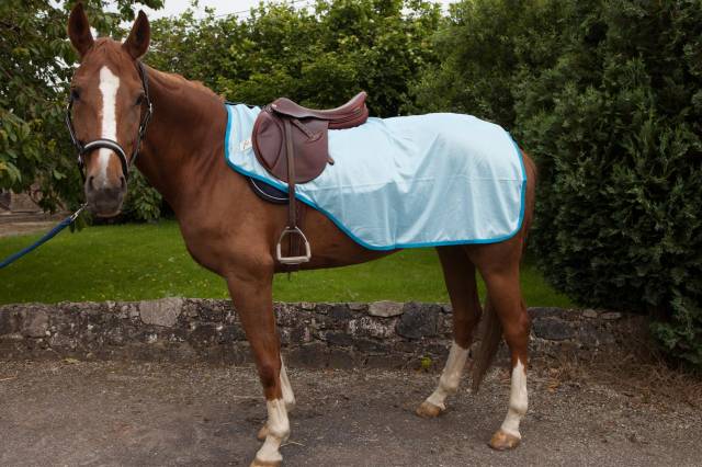 Couvre reins anti mouches JMR taille shetland