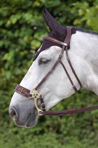 Bridon pour hackamore Dy'on
