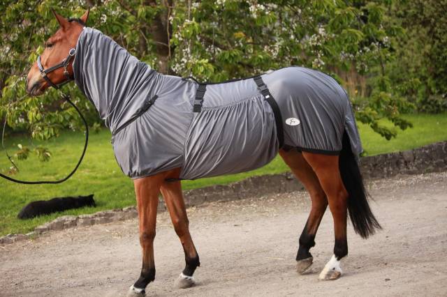 Couverture Grise anti-eczéma Dermite estivale de chez JMR.Taille cheval