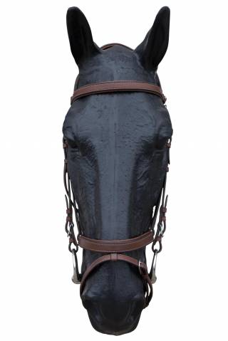 Bridon en cuir Italien modèle Bari JMRPRO