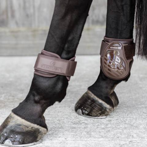 Prot&egrave;ges-boulets jeunes chevaux - Kentucky