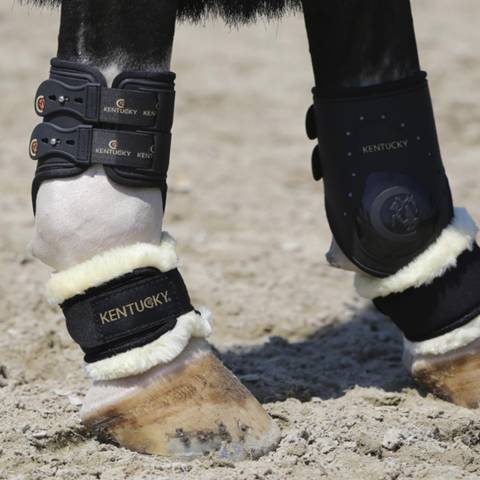 Protège-paturon mouton - Kentucky