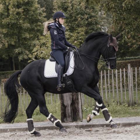 Guêtres Turnout Air - Kentucky