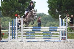 Ecurie de propriétaires- écurie active avec équipistes