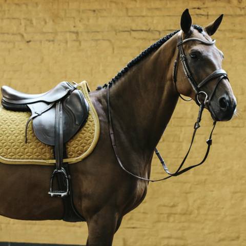 Tapis de selle Velvet obstacle - Kentucky