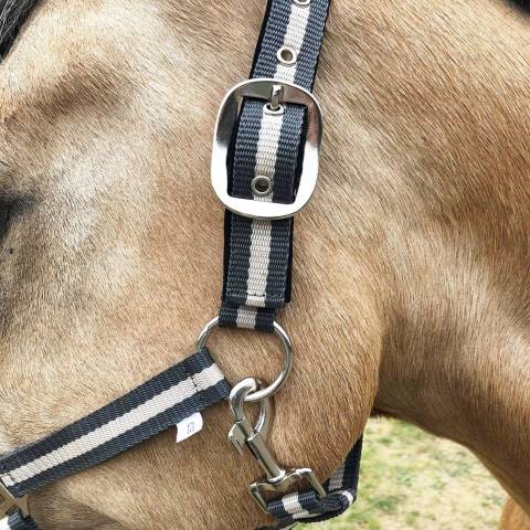 Licol nylon doubl&eacute; avec longe assortie en gris et beige - JMR