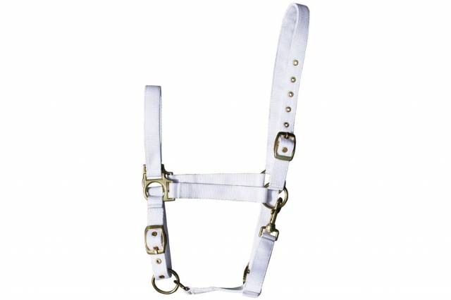 Licol Classic avec 3 réglages - Harry's Horse