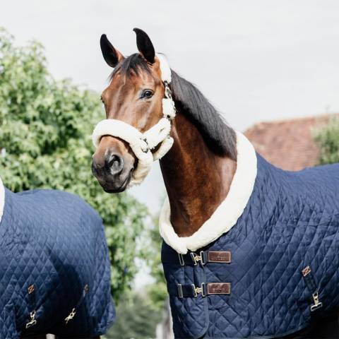 Kentucky Couverture de pr&eacute;sentation 160gr