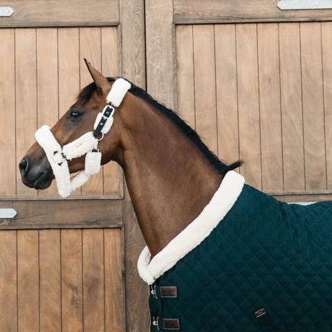 Kentucky Couverture de pr&eacute;sentation 160gr