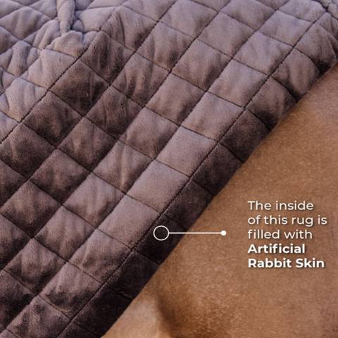 Couverture d'écurie 0gr - Kentucky