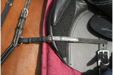 Collier de chasse en cuir, JMR Pro