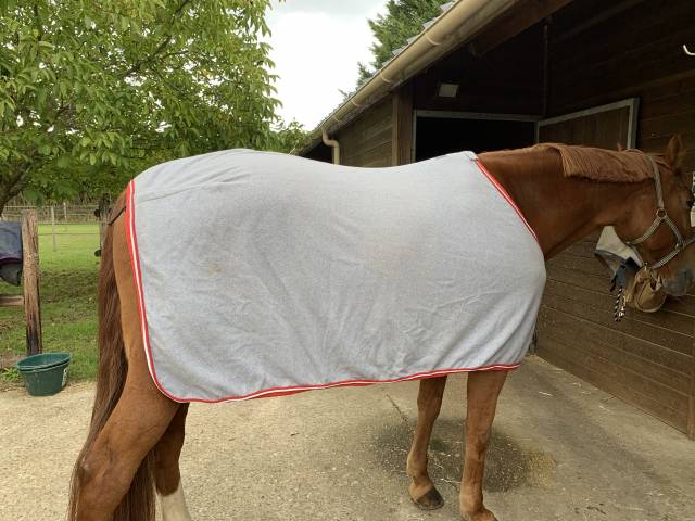 Chemise pour cheval