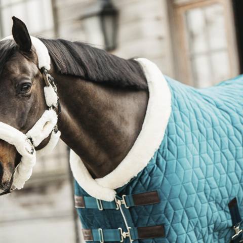 Couverture de présentation Velvet 160gr - Kentucky