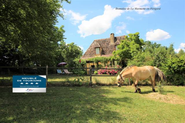 Maison de vacances 4*,piscine, prés abris et carrière 