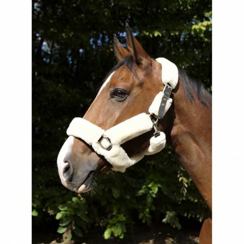 Licol mouton Equi-Thème Teddy Ecru et noir