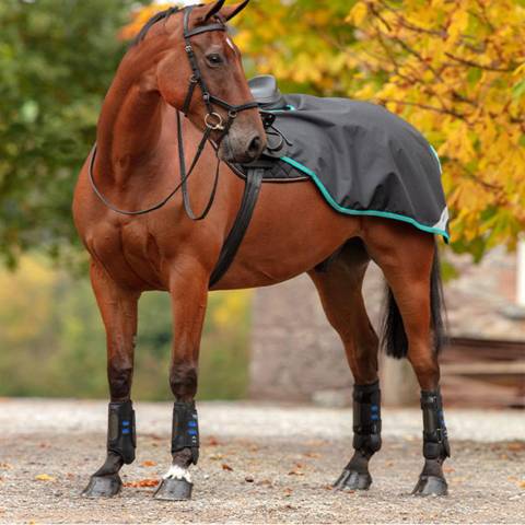 Horseware Couvre-reins Amigo Competition Sheet 