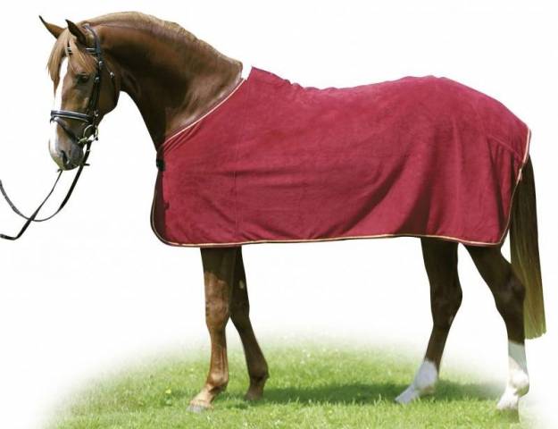 Chemise polaire Séchante