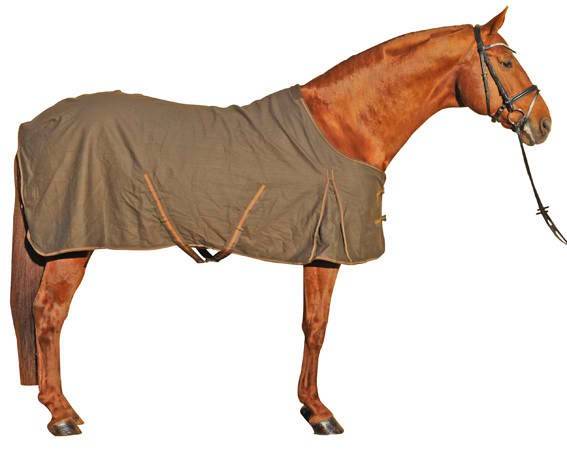 Chemise cheval en coton mi saison HKM