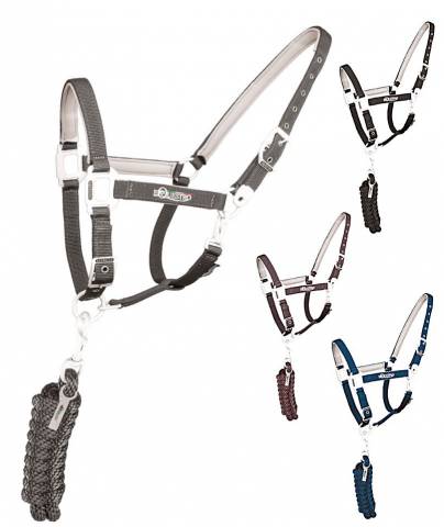 Licol Equestro Fusion