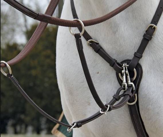 Collier de chasse Fancy Richtan Treadstone