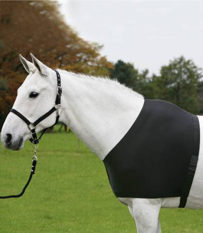Protection couverture Comfort Vest Waldhausen